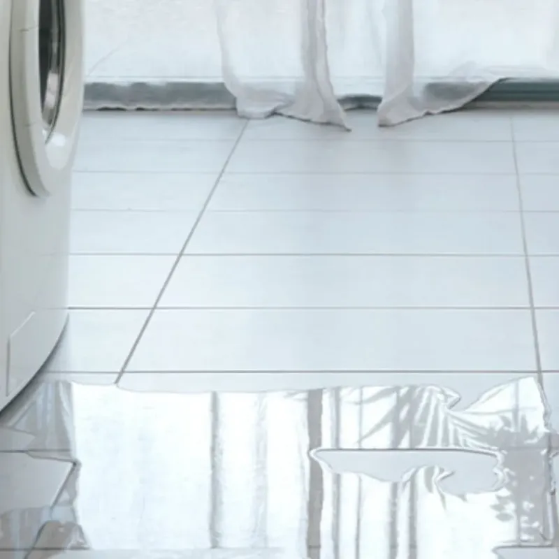 Appliance Leak Cleanup in Fort Kent, ME