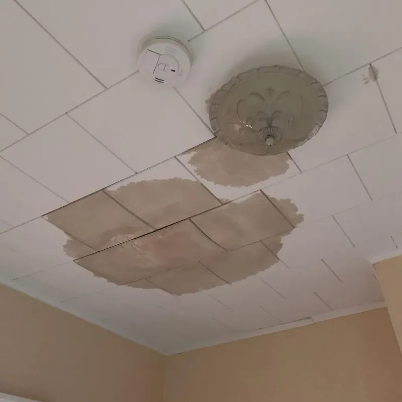 Ceiling Water Damage Repair in Fort Kent, ME